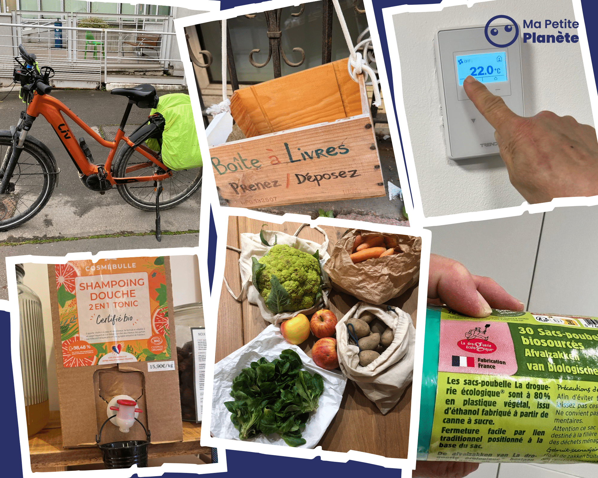 Clichés des actions écologiques réalisées par les participants du campus Sciences-U Lyon lors du challenge Ma Petite Planète
